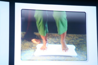 Illustration for article titled Wii Fit and Balance Board Accessory